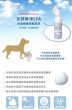 DIRTY DOG  趴趴走泡沫潔足樂 補充裝 500ml