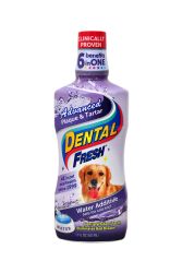 Dental Fresh Dental Fresh 17oz