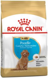 Royal Canin Poodle Junior 3kg