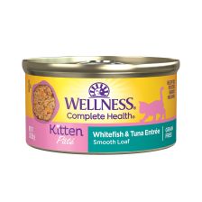 Wellness Complete Health 幼貓海魚 肉醬 罐頭 3oz