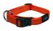 HB06 Rogz Utility SR Collar (L) (橙色)