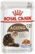 Royal Canin 老年貓12+營養主食濕糧 (Jelly) 85g 