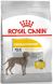 Royal Canin  大型犬皮膚舒緩加護配方 12kg