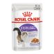 Royal Canin  絕育成貓營養主食濕糧 (Jelly) 85g 