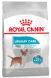 Royal Canin 小型犬泌尿道加護配方 3kg