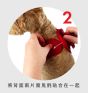 EzyDog 透氣全包圍胸背帶 XS (粉紅) 