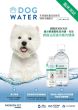 Dog Water 天然減尿臭及防尿石強效守護配方 4L