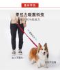 EzyDog 零拉力牽帶 120cm (橙色) 闊25mm
