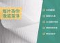Nurture Pro AG+ 銀離子寵物親膚消毒濕紙巾 10片-椰子味