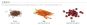 Wellness Complete Health 雞肉拼鯡魚 肉醬 貓罐頭 5.5oz