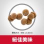 希爾思 幼貓 4kg 