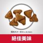 希爾思 室內成貓糧 3.5lb