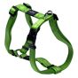 SJ14 Rogz Utility H-Harness (S) (青檸綠)