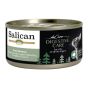 Salican 鴨肉慕斯貓罐 (腸道護理) 80g (綠)