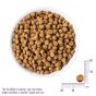 Wellness CORE 無穀物 海洋魚 室內貓糧 5lb
