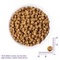 Wellness CORE 無穀物幼犬成長配方狗糧 4lb