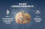 ZIWI 微蒸風乾貓糧 - 野生南太平洋魚配方 800g