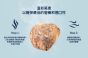 ZIWI 微蒸風乾狗糧 - 放養雞配果園水果配方 3.2kg