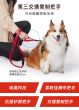 EzyDog 零拉力牽帶 120cm (橙色) 闊25mm